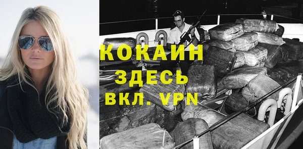 прущие грибы Покачи